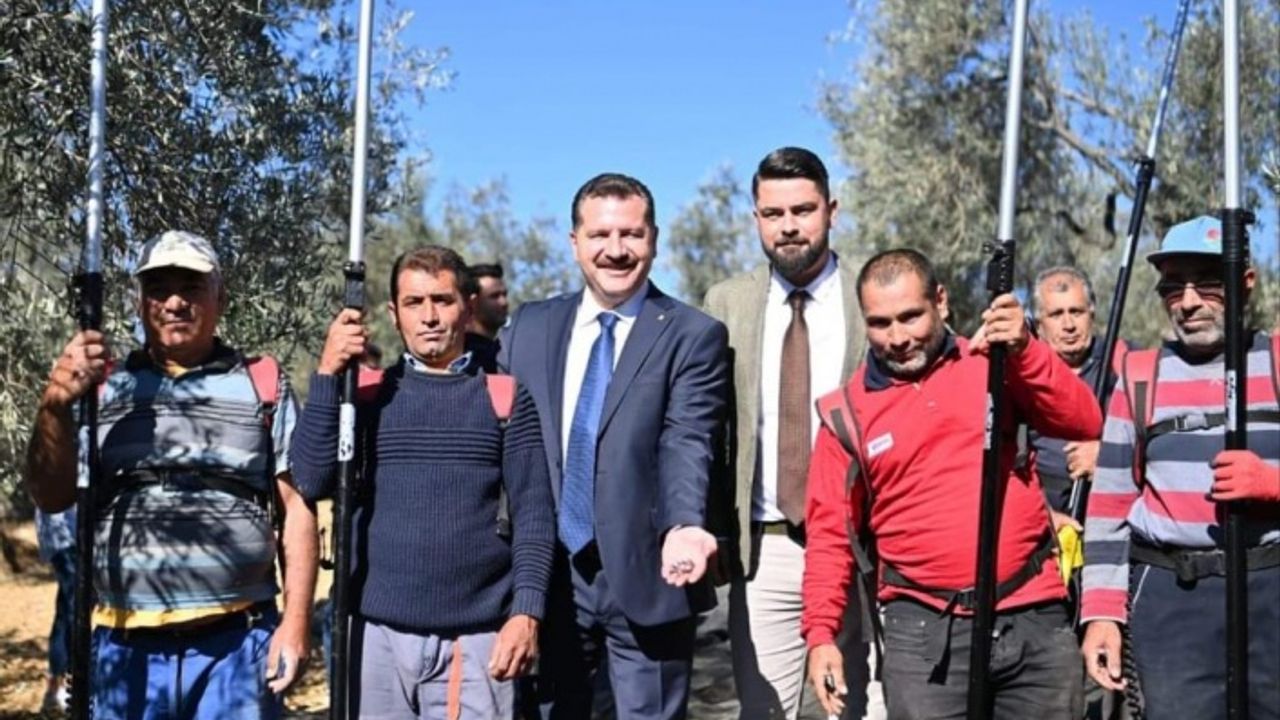 BALIKESİR’DEKİ ZEYTİN HASADINA BAŞKAN YILMAZ DA KATILDI