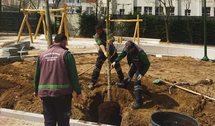Ümraniye’de iklim krizine karşı 40 bin ağaç toprakla buluştu