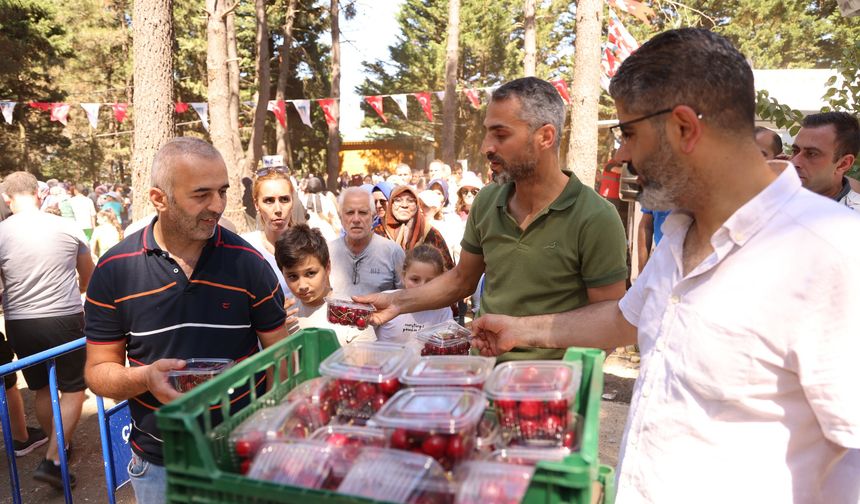 Çekmeköy’de kiraz festivali heyecanı